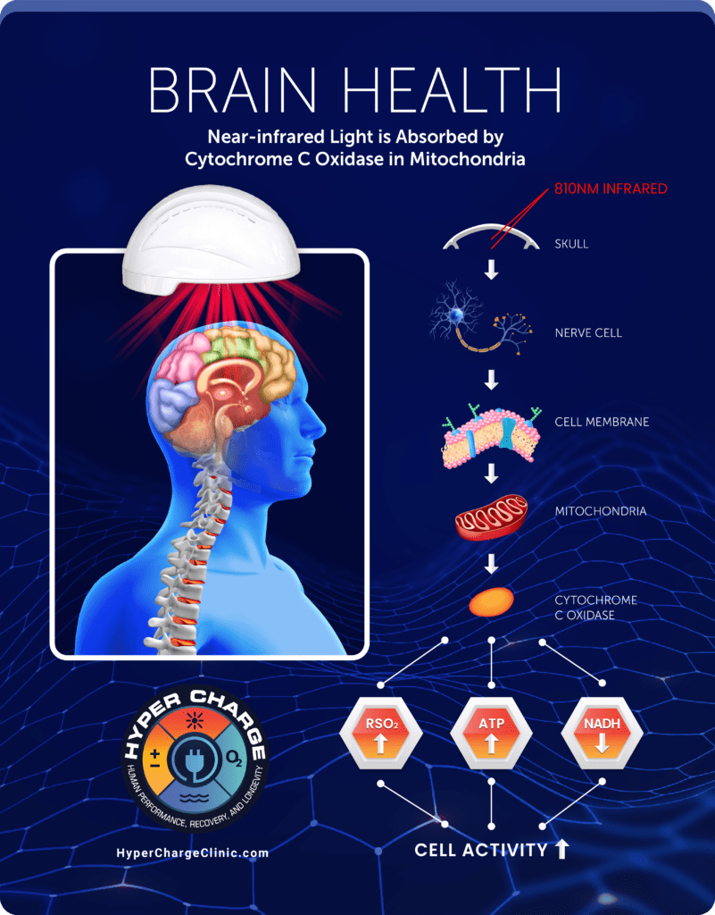 Transcranial Health Poster