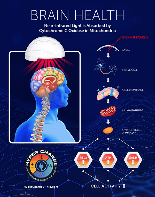 Brain health diagram