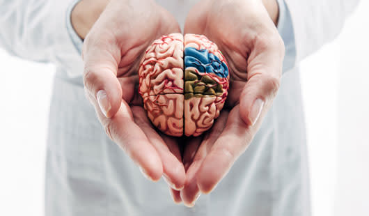 A image of a hand and a brain